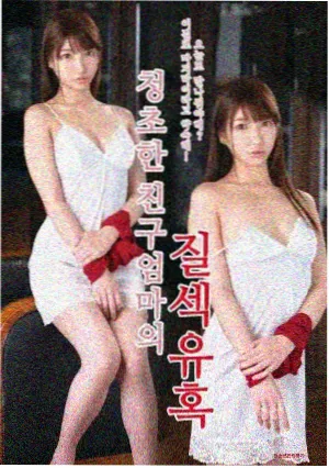 家有萌宠